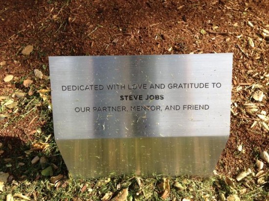 Pixar rend hommage à Steve Jobs en plantant un arbre dans son parc