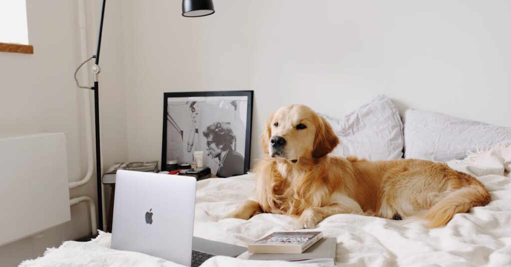 découvrez comment animer vos photos en donnant vie à vos souvenirs grâce à des techniques innovantes et à des outils accessibles. apprenez à créer des animations fascinantes et engageantes pour impressionner vos amis et partager vos moments précieux.