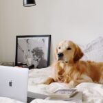 découvrez comment animer vos photos en donnant vie à vos souvenirs grâce à des techniques innovantes et à des outils accessibles. apprenez à créer des animations fascinantes et engageantes pour impressionner vos amis et partager vos moments précieux.