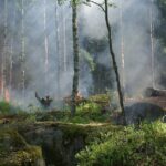 découvrez l'importance des fichiers journaux (log files) dans la gestion des systèmes informatiques. apprenez comment ces enregistrements permettent d'analyser les performances, de diagnostiquer les problèmes et d'assurer la sécurité des données.