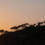 Le mode sombre sur Mac : Un coup de pouce à votre confort visuel ? découvrez le mode sombre, une fonctionnalité qui réduit la fatigue oculaire et améliore l'expérience visuelle. explorez les avantages du dark mode sur vos appareils et apprenez comment l'activer facilement pour une navigation plus agréable, surtout dans des environnements faiblement éclairés.