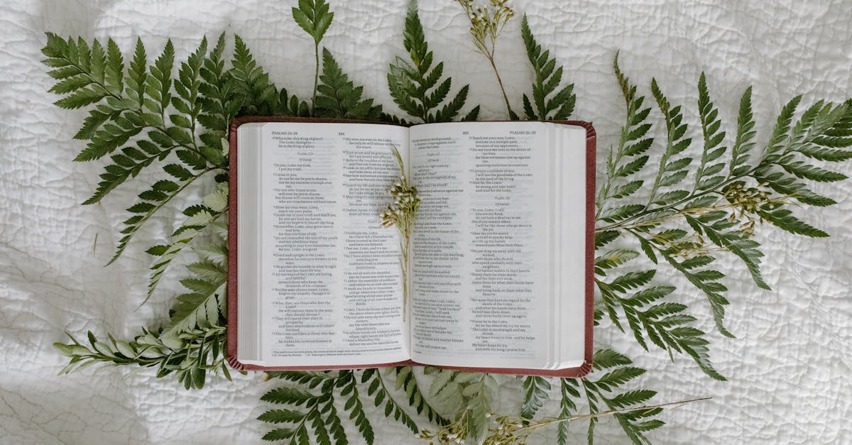 découvrez notre sélection de marque-pages originaux et pratiques pour embellir vos lectures. que vous soyez un passionné de littérature ou un étudiant, nos bookmarks raviront tous les amoureux des livres avec leur design unique et fonctionnel.