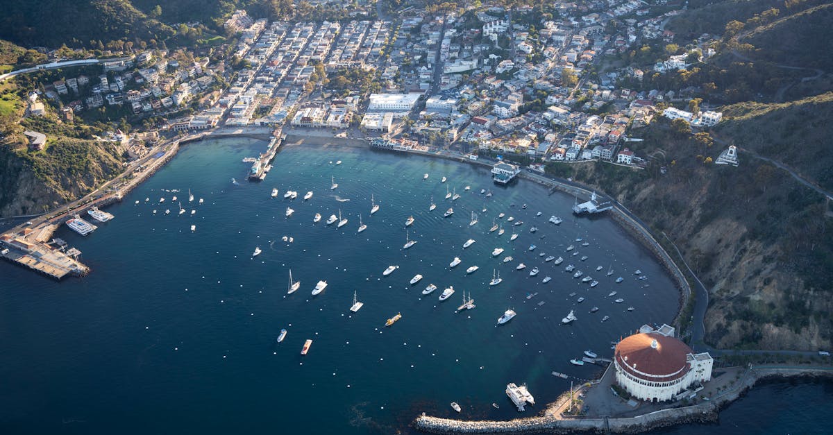 découvrez catalina, un environnement idéal pour l'innovation et la créativité, offrant une multitude de possibilités pour les professionnels et les passionnés. explorez ses caractéristiques uniques et trouvez l'inspiration pour vos projets.