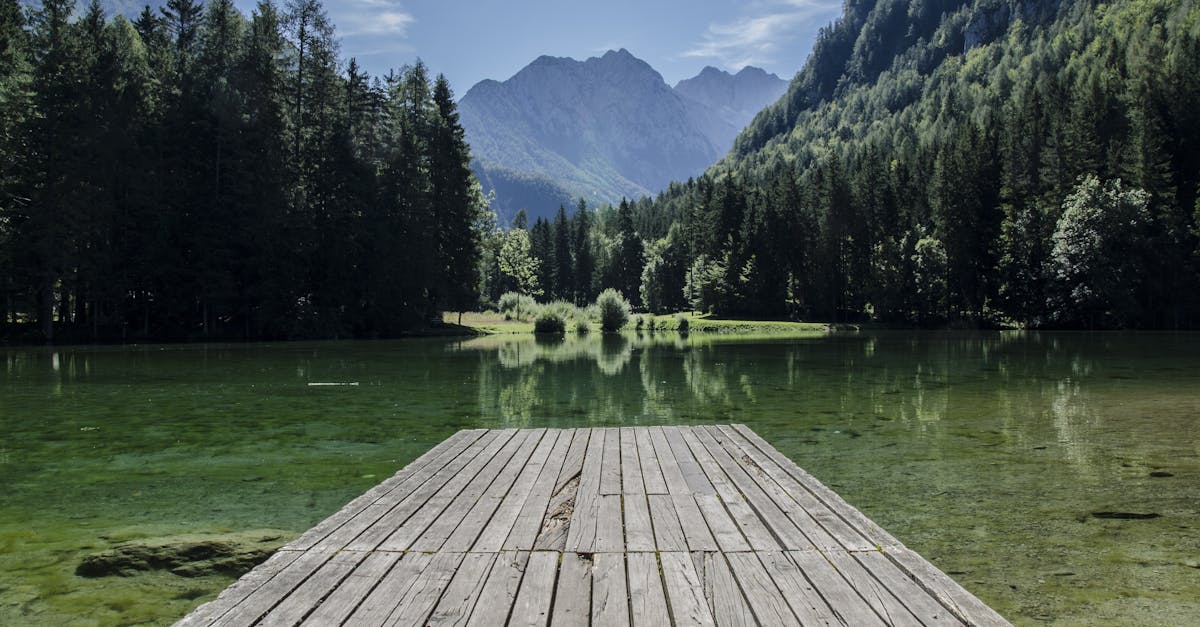 découvrez notre sélection de docks innovants pour optimiser votre espace de travail. que ce soit pour le stockage de votre appareil, la connexion de périphériques ou l'amélioration de votre productivité, trouvez le dock idéal qui répond à vos besoins.