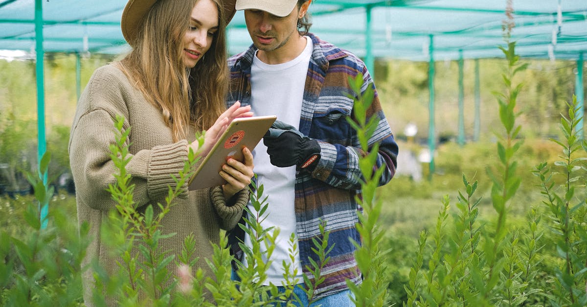 découvrez notre plateforme 'find', votre allié pour dénicher les meilleures adresses, services et produits autour de vous. simplifiez vos recherches et trouvez ce que vous cherchez en un clin d'œil, grâce à une interface intuitive et des recommandations personnalisées.
