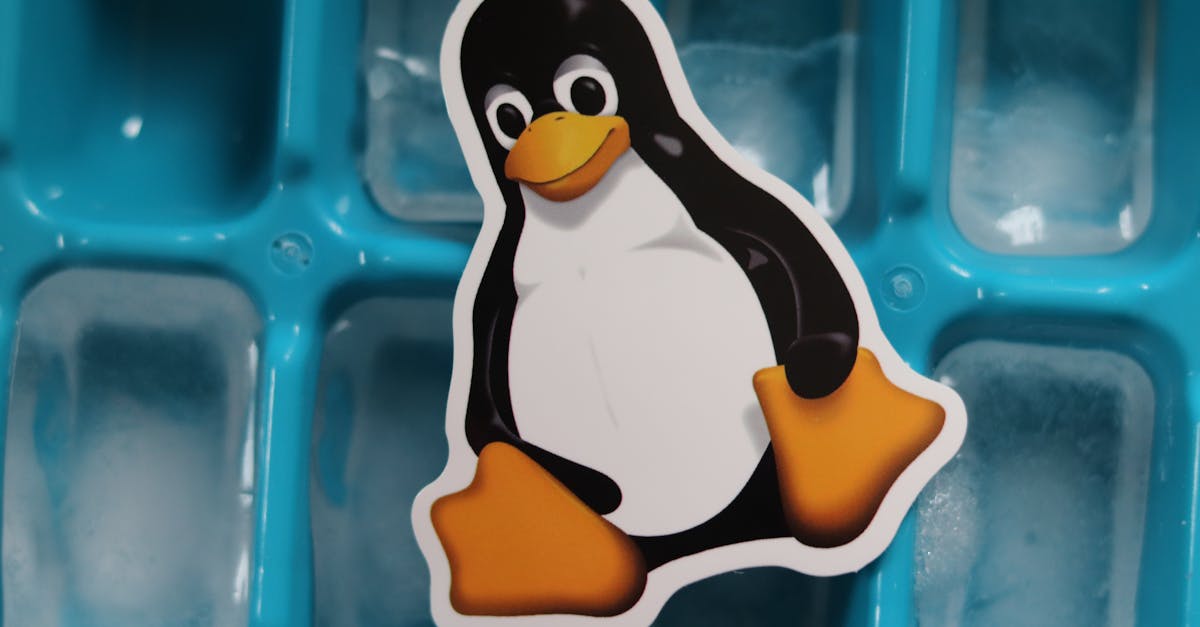découvrez linux, le système d'exploitation open-source prisé pour sa flexibilité, sa sécurité et sa communauté active. explorez ses fonctionnalités, ses distributions variées et apprenez comment il peut transformer votre expérience informatique.