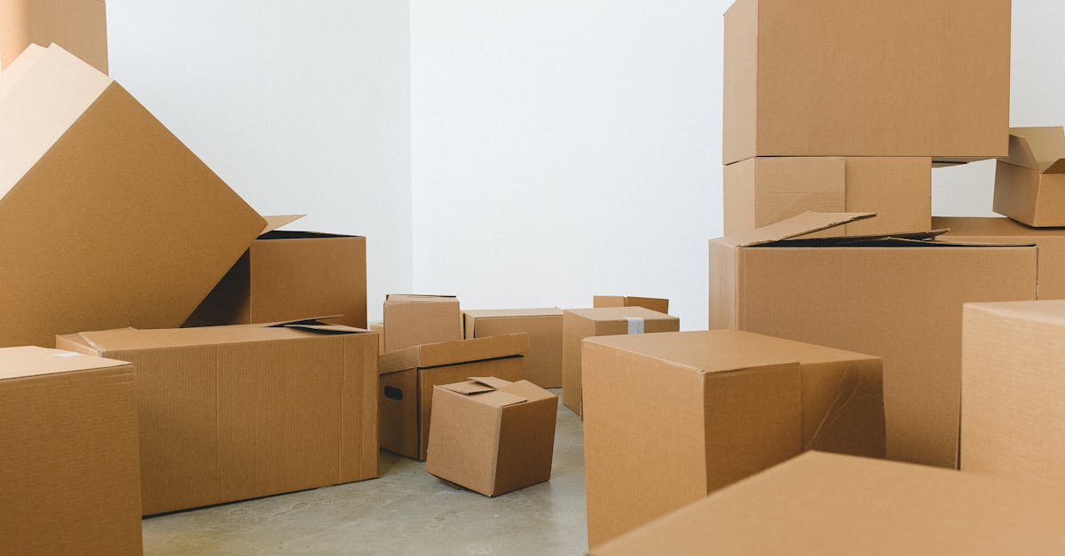 découvrez des solutions de stockage alternatives pour optimiser votre espace et sécuriser vos biens. explorez une variété d'options de stockage innovantes adaptées à vos besoins spécifiques.