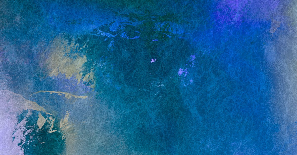 découvrez les meilleures alternatives à paint pour laisser libre cours à votre créativité. que vous soyez un artiste amateur ou un professionnel, ces outils vous offriront des fonctionnalités avancées et une interface conviviale pour réaliser vos projets graphiques.