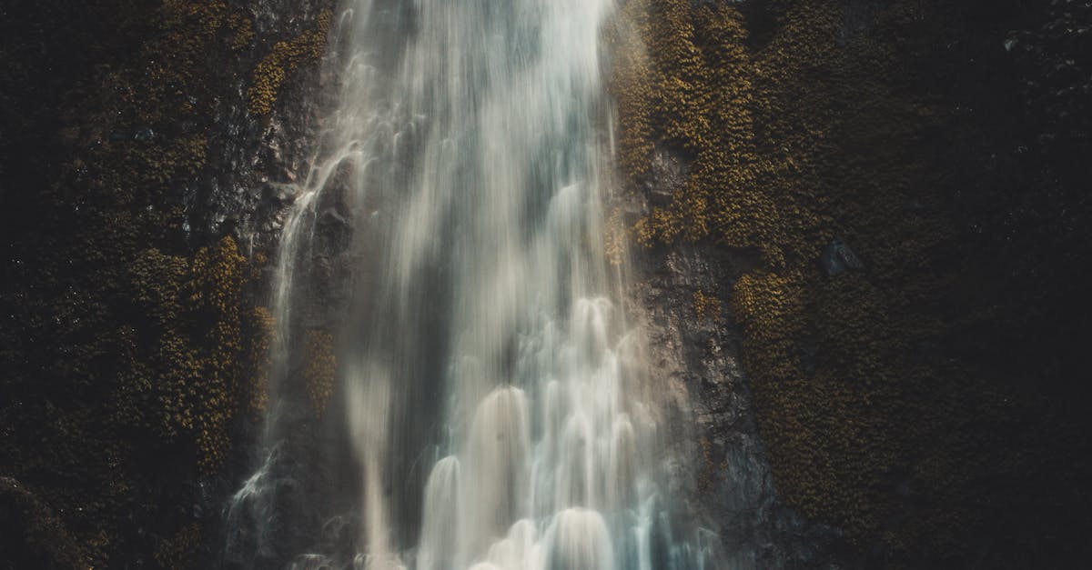 découvrez l'art du photo editing avec nos astuces et techniques pour sublimer vos images. apprenez à retoucher, améliorer et transformer vos photos en véritables œuvres d'art.