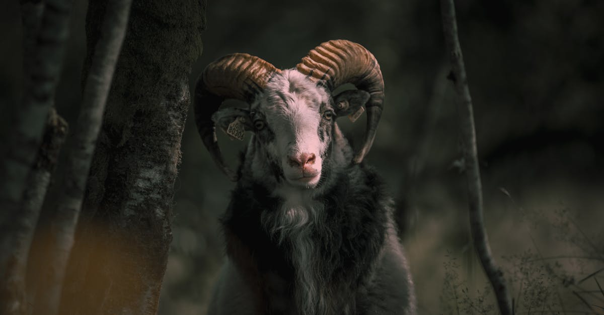 optimisez les performances de votre appareil avec notre nettoyeur de ram. libérez de l'espace, améliorez la vitesse de votre système et profitez d'une expérience fluide et rapide. téléchargez notre logiciel de nettoyage dès aujourd'hui !
