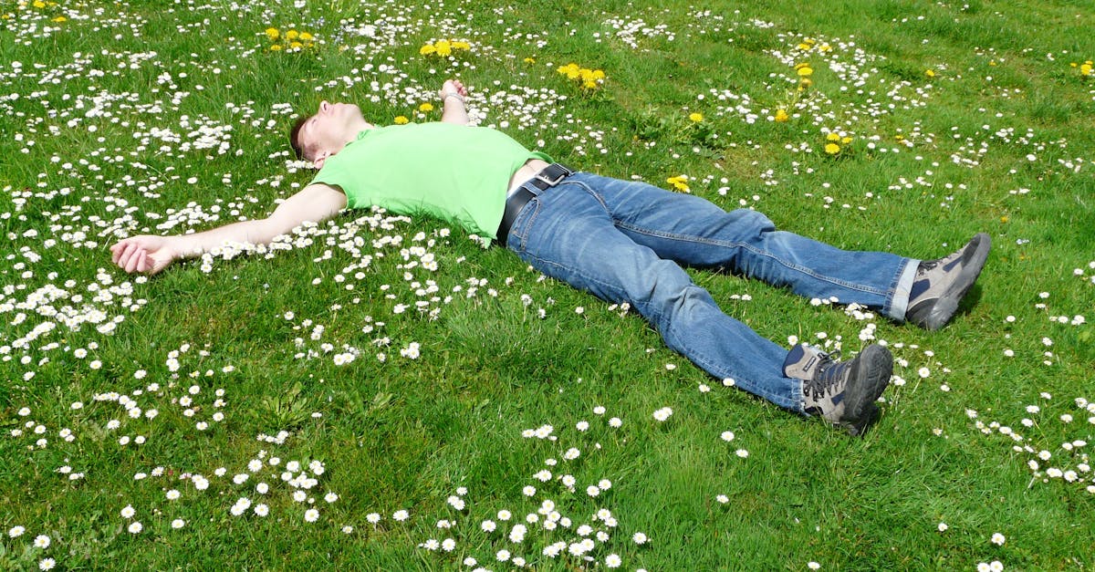 découvrez nos paramètres de sommeil pour améliorer la qualité de votre repos. ajustez vos préférences et profitez d'un sommeil réparateur grâce à nos conseils et astuces sur les meilleures pratiques de réglage du sommeil.