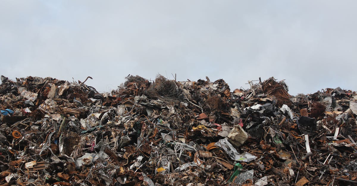 découvrez l'univers fascinant de la gestion des déchets avec notre guide sur le trash. apprenez des astuces pour réduire vos déchets, recycler efficacement et contribuer à un environnement plus sain. transformez votre vision du trash en opportunité de durabilité et d'innovation écologique.