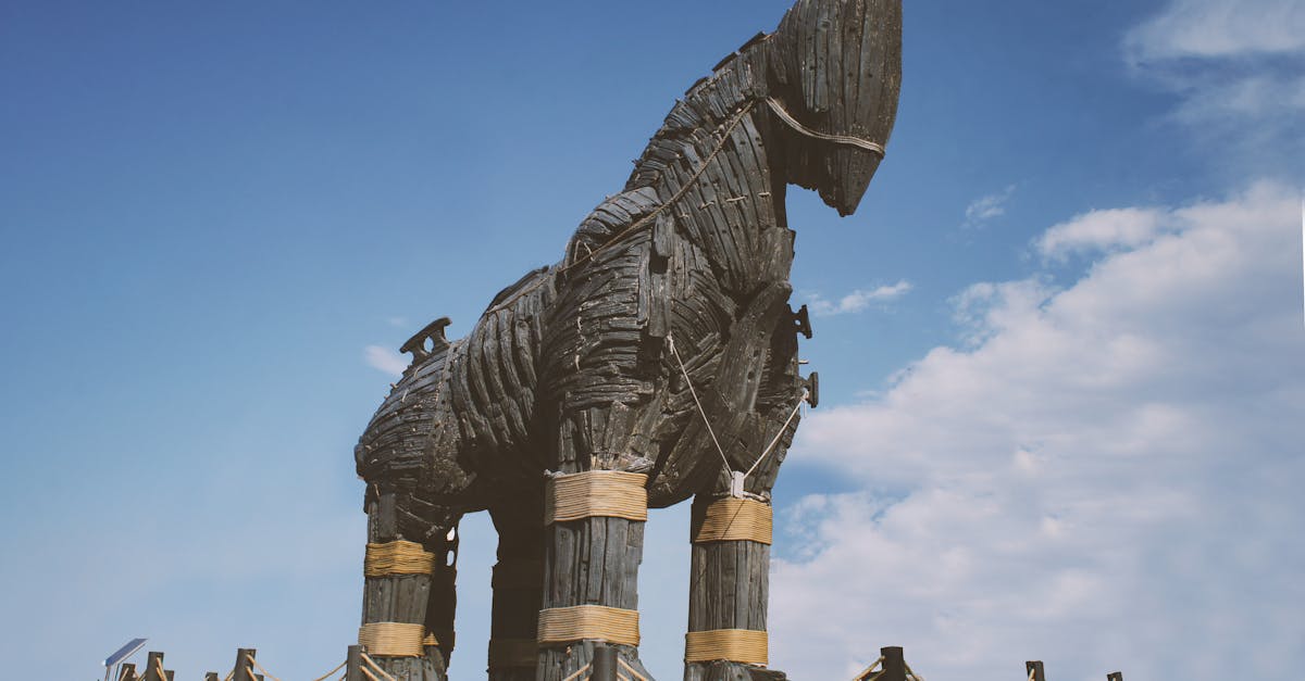 découvrez tout sur les chevaux de troie, une catégorie de malware qui trompe les utilisateurs pour infiltrer leur système. apprenez comment les reconnaître, les prévenir et protéger vos données contre ces menaces informatiques.