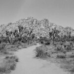 découvrez macos mojave, le système d'exploitation d'apple qui révolutionne votre expérience utilisateur avec son interface élégante, des fonctionnalités innovantes comme le mode sombre, des améliorations de performance et une gestion optimisée des fichiers. idéal pour les utilisateurs de mac souhaitant profiter d'une productivité accrue et d'une esthétique raffinée.