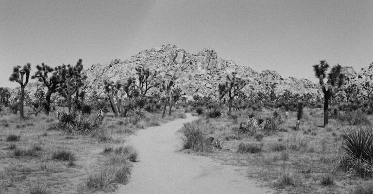 découvrez macos mojave, le système d'exploitation d'apple qui révolutionne votre expérience utilisateur avec son interface élégante, des fonctionnalités innovantes comme le mode sombre, des améliorations de performance et une gestion optimisée des fichiers. idéal pour les utilisateurs de mac souhaitant profiter d'une productivité accrue et d'une esthétique raffinée.