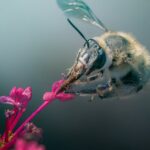 Comment passer en mode plein écran et en sortir sur Mac découvrez une expérience immersive en plein écran avec notre application. profitez de vos vidéos, jeux et présentations dans une interface captivante qui maximise votre écran. plongez au cœur de l'action et ne manquez aucun détail !