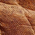 Comprendre et résoudre les lignes colorées sur l'écran de votre Mac : violet, bleu, rose, noir et vert découvrez l'univers captivant de 'color lines', une expérience visuelle qui allie créativité et harmonie des couleurs. explorez des motifs uniques et laissez-vous inspirer par des designs dynamiques qui transforment votre espace.