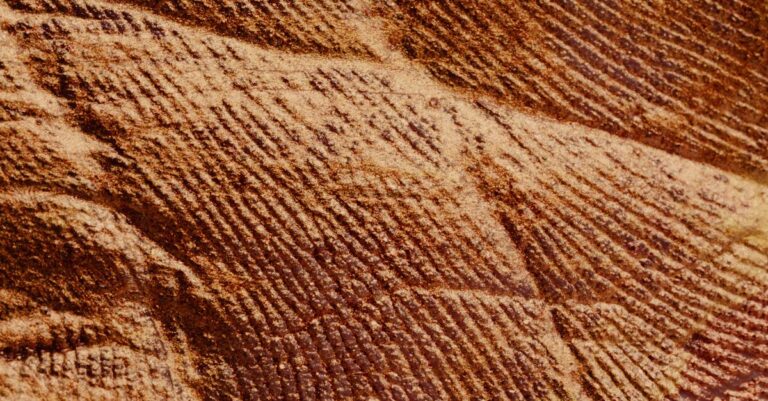 découvrez l'univers captivant de 'color lines', une expérience visuelle qui allie créativité et harmonie des couleurs. explorez des motifs uniques et laissez-vous inspirer par des designs dynamiques qui transforment votre espace.