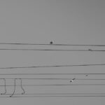 Comprendre le Système de Fichiers Distribué (DFS) : Différences entre DFS et NAS découvrez les systèmes de fichiers distribués, une technologie essentielle pour le stockage et la gestion des données sur plusieurs serveurs. optimisez votre efficacité et assurez la redondance de vos données avec cette solution innovante.