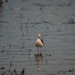 découvrez icloud photos, votre solution idéale pour stocker, organiser et partager vos photos et vidéos en toute sécurité. accédez à vos souvenirs depuis tous vos appareils apple avec facilité.