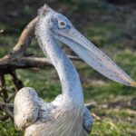 Guide pratique pour retirer le Macintosh HD de votre bureau Mac découvrez le monde du macintosh hd, le disque dur emblématique des ordinateurs apple. apprenez à gérer votre stockage, optimiser vos performances et explorer les fonctionnalités avancées de votre système macos.