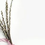 Organisation et minimalisme : comment vivre mieux avec moins découvrez le minimalisme, un style de vie épuré qui prône la simplicité et l'essentiel. apprenez à désencombrer votre espace et votre esprit pour une existence plus sereine et significative.