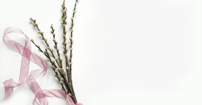 découvrez le minimalisme, un style de vie épuré qui prône la simplicité et l'essentiel. apprenez à désencombrer votre espace et votre esprit pour une existence plus sereine et significative.