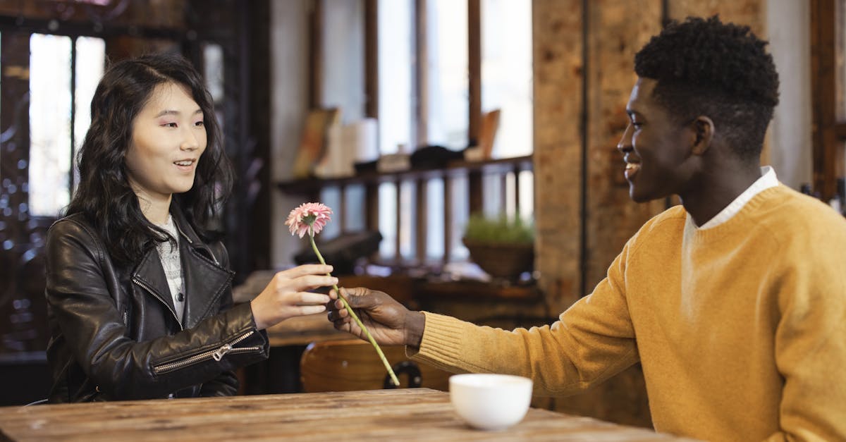 découvrez les secrets de la compatibilité entre les personnes, les caractères et les situations. explorez comment des relations harmonieuses et des choix éclairés peuvent améliorer votre vie personnelle et professionnelle.