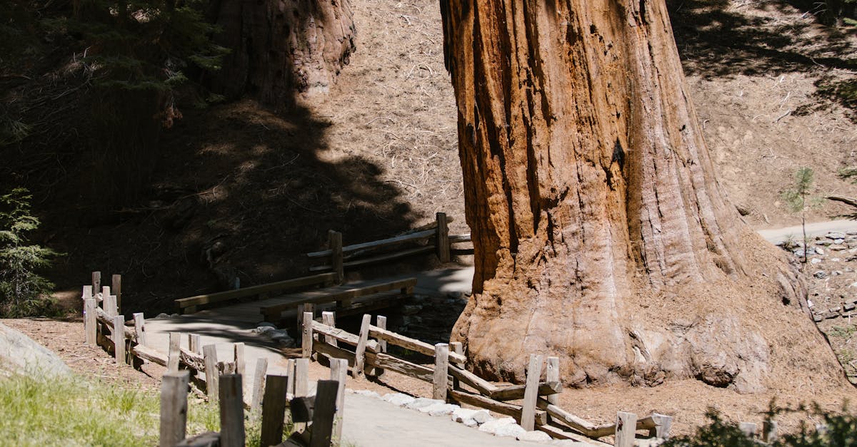 découvrez les nouvelles fonctionnalités et améliorations de macos sequoia beta, la dernière version du système d'exploitation d'apple. testez dès maintenant les innovations qui transformeront votre expérience utilisateur.
