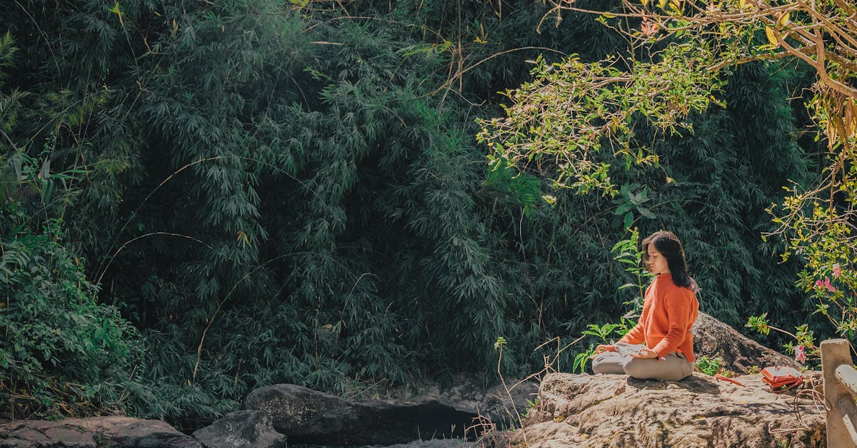 découvrez la méditation, une pratique ancestrale qui favorise le bien-être mental et physique. apprenez à apaiser votre esprit, réduire le stress et améliorer votre concentration grâce à des techniques simples et accessibles pour tous.