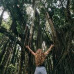 Guide complet pour télécharger et installer macOS Sequoia Beta sans frais découvrez la version bêta de macos sequoia, offrant des fonctionnalités innovantes et des améliorations de performance pour une expérience utilisateur optimisée. débloquez le potentiel de votre mac avec les dernières mises à jour et fonctionnalités de ce système d'exploitation révolutionnaire.