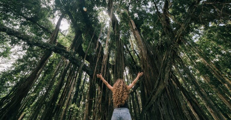 découvrez la version bêta de macos sequoia, offrant des fonctionnalités innovantes et des améliorations de performance pour une expérience utilisateur optimisée. débloquez le potentiel de votre mac avec les dernières mises à jour et fonctionnalités de ce système d'exploitation révolutionnaire.