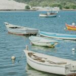 découvrez comment convertir facilement vos fichiers jpeg en jpg avec notre guide étape par étape. optimisez vos images tout en préservant leur qualité avec nos outils simples et efficaces.