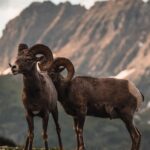 Qu'est-ce que la RAM et comment vérifier son utilisation sur un Mac ? découvrez tout ce qu'il faut savoir sur la ram : types, fonctions, et comment elle améliore les performances de votre ordinateur. optimisez votre expérience informatique avec notre guide complet sur la mémoire vive.