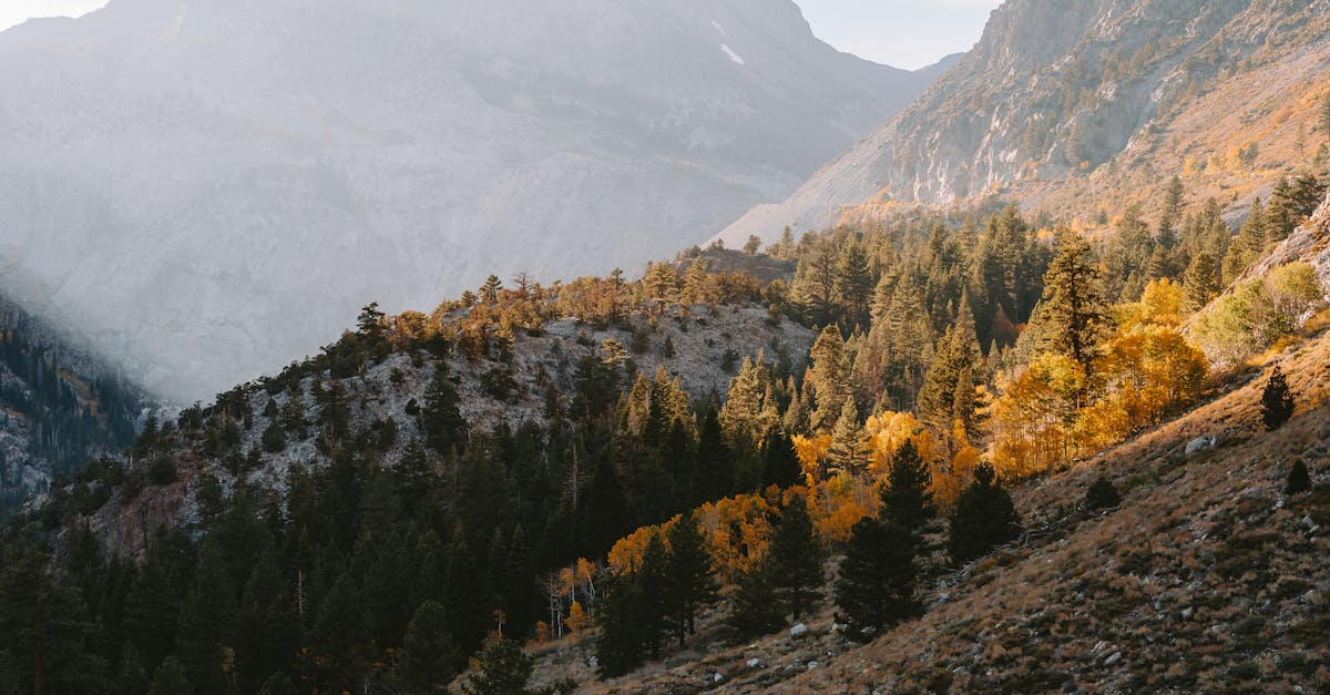 découvrez os x yosemite, le système d'exploitation d'apple qui combine élégance et efficacité. avec son interface raffinée, ses nouvelles fonctionnalités innovantes et son intégration fluide avec icloud, yosemite offre une expérience utilisateur unique et intuitive pour mac. profitez d'une productivité améliorée et de nouvelles applications conçues pour optimiser votre quotidien numérique.