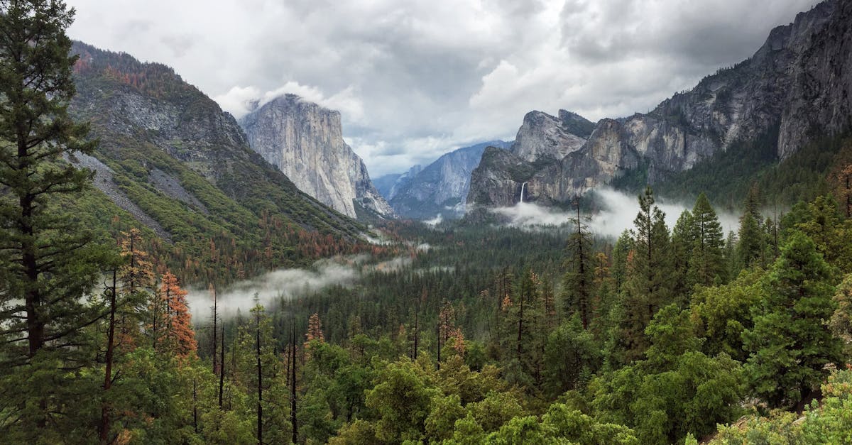 découvrez yosemite, un parc national emblématique des états-unis, où la nature se dévoile à travers des paysages grandioses, des chutes d'eau spectaculaires et des séquoias majestueux. parfait pour les amateurs de randonnée et de photographie.