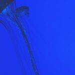 découvrez les solutions aux erreurs de capture d'écran avec nos conseils pratiques et astuces pour résoudre les problèmes courants. améliorez votre expérience de capture d'écran dès maintenant !