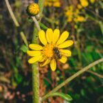 Utiliser un disque dur formaté en HFS+/APFS sur Windows : Guide Pratique découvrez les différences entre hfs+ et apfs, les systèmes de fichiers d'apple. apprenez comment leurs caractéristiques affectent la performance, la sécurité et la gestion des données sur vos appareils mac et ios.