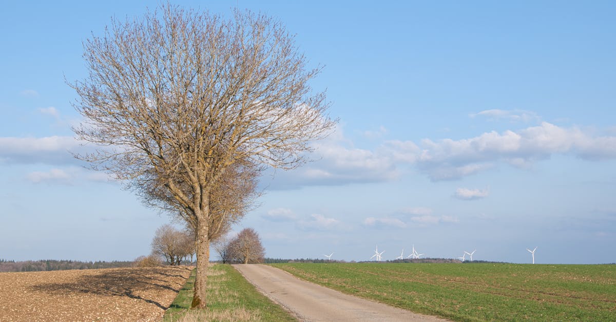 découvrez le processus d'emptying, une méthode essentielle pour optimiser l'espace et améliorer l'efficacité de vos opérations. apprenez à gérer le vide et à libérer du potentiel dans vos projets.