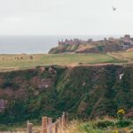 5 jeux pour remplacer Flappy Bird sur iPhone : les meilleures alternatives découvrez flappy bird, le jeu mobile captivant qui vous met au défi de guider un oiseau à travers des tuyaux en évitant les obstacles. parfait pour des sessions de jeu courtes mais addictives, testez vos réflexes et vos compétences avec ce phénomène viral.