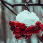 5 meilleures applications gratuites de Noël pour iPad et iPad Mini découvrez notre sélection d'applications gratuites pour noël ! amusez-vous avec des jeux, des idées de décorations et des recettes festives. préparez-vous à vivre la magie des fêtes sur votre mobile.