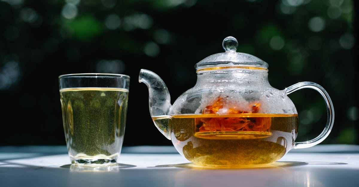 découvrez l'univers fascinant de homebrew, une méthode artisanale pour brasser votre propre bière à la maison. apprenez les techniques, les recettes et les astuces des brasseurs passionnés pour créer des bières uniques et savoureuses. lancez-vous dans cette aventure brassicole et libérez votre créativité !