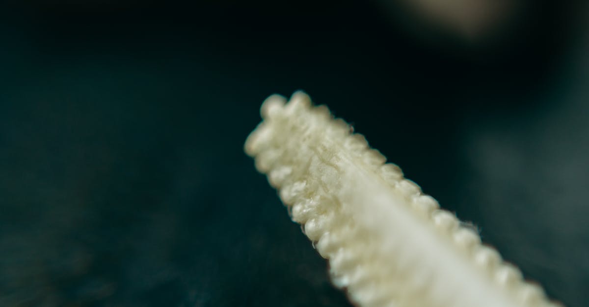 découvrez les extensions du noyau, un outil essentiel pour étendre les fonctionnalités des systèmes opérationnels. apprenez comment elles améliorent la performance et la sécurité de votre environnement informatique.