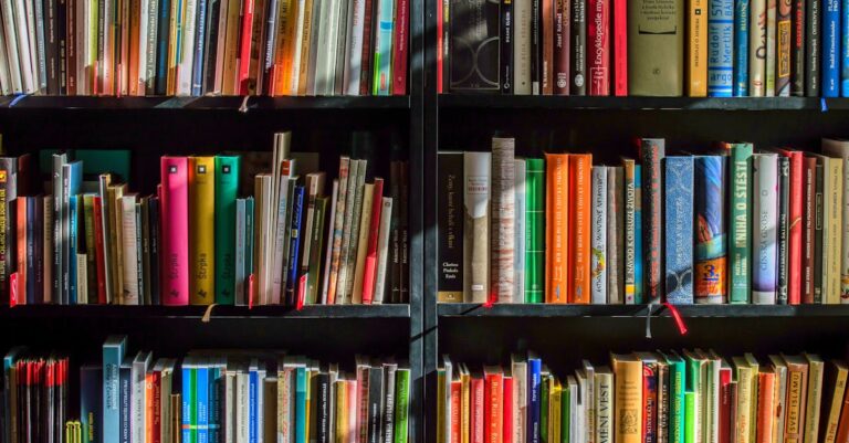 découvrez notre bibliothèque riche en ressources, où la connaissance et la culture s'entremêlent. explorez notre vaste collection de livres, e-books et supports multimédias pour satisfaire votre curiosité et nourrir votre passion de la lecture.