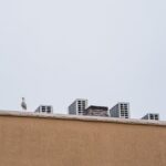 5 applications pour localiser un iPhone perdu ou volé découvrez des astuces et conseils pratiques pour retrouver un iphone perdu. apprenez comment utiliser les fonctionnalités de localisation et minimiser les risques de perte grâce à des mesures préventives.