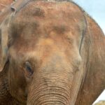 OS X Yosemite Skin Pack pour Windows : personnalisez votre PC découvrez notre collection exclusive de skin packs, des ensembles personnalisés pour transformer vos personnages et objets dans vos jeux préférés. améliorez votre expérience de jeu avec des designs uniques et stylés !