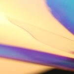 Les meilleurs sites pour télécharger des fonds d'écran Retina gratuits découvrez notre collection de fonds d'écran uniques et attrayants qui embelliront votre écran. choisissez parmi des milliers d'options allant des paysages saisissants aux designs abstraits pour personnaliser votre appareil selon vos envies.