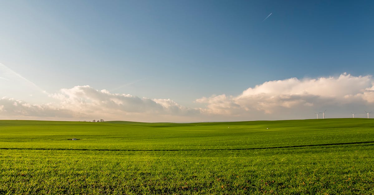 découvrez tout sur le concept de 'crop', incluant les différentes techniques de culture, les avantages de la gestion des ressources agricoles et l'impact sur l'environnement. apprenez à optimiser vos récoltes et à promouvoir une agriculture durable.