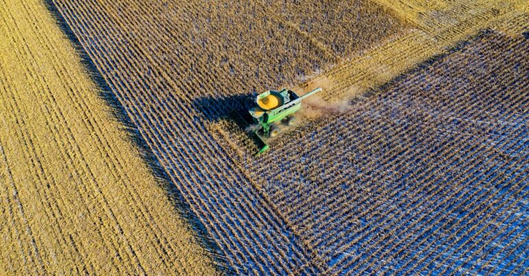 découvrez tout ce que vous devez savoir sur le concept de 'crop' : des techniques agricoles aux méthodes de récolte, en passant par les différentes cultures. optimisez vos connaissances pour maximiser votre production!