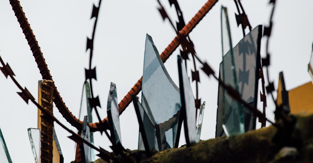découvrez l'univers intrigant de 'forbidden' où les limites sont repoussées et les secrets révélés. plongez dans une aventure captivante remplie de mystères et de sensations fortes.